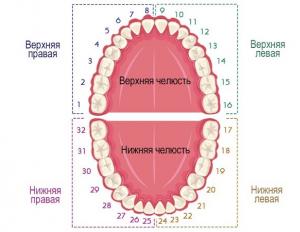 Methods of numbering teeth in dentistry