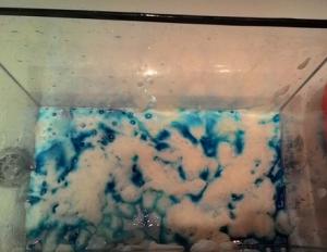 Albastru de metilen - cum se folosește într-un acvariu